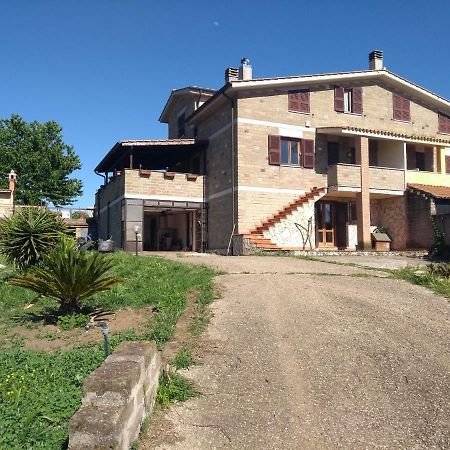 La Tana Di Stefano Anguillara Sabazia Exterior foto
